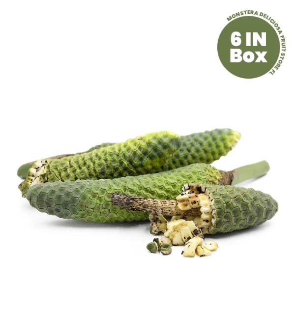 Buy Monstera deliciosa fruit